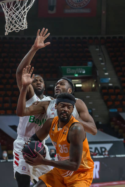 组织的根本 组织的根本